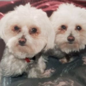 Meet your Posher, Lynn